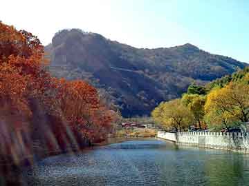 管家婆免费正版资起大全，燃油旅游观光车